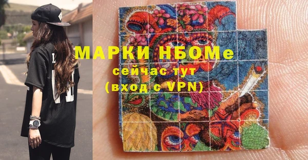spice Инта