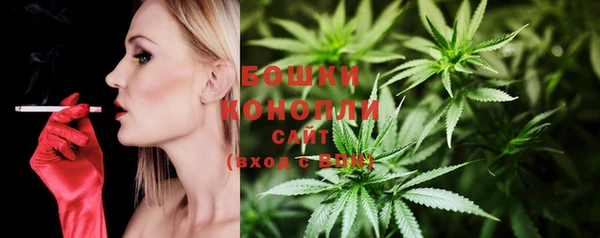 spice Инта