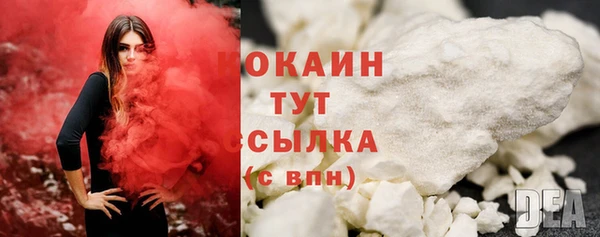 spice Инта