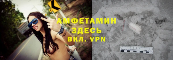 spice Инта