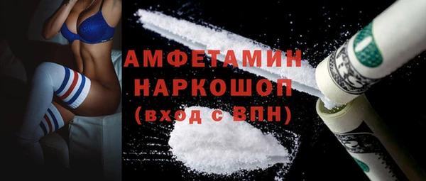 spice Инта
