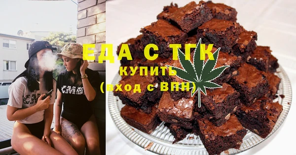 spice Инта