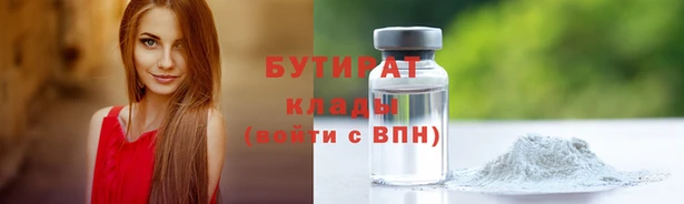 spice Инта