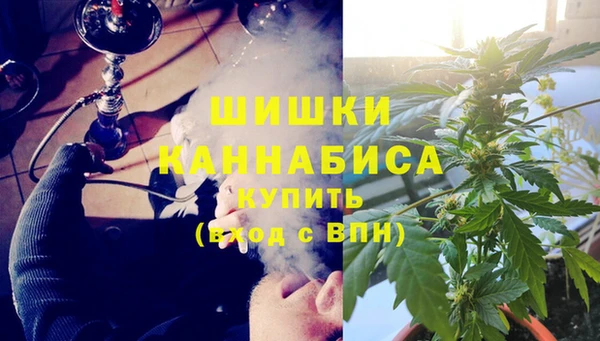 spice Инта