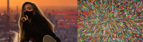spice Инта