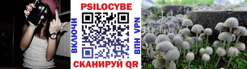 Купить где  Всеволожск  Псилоцибиновые грибы MAGIC MUSHROOMS 
