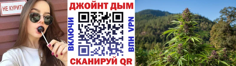 Купить где  Всеволожск  Каннабис ГИДРОПОН 